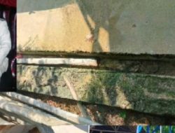 Diduga Kaya Hasil Korupsi, Inspektorat Diminta Periksa Kepala Kampung Mekar Jaya