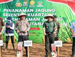 Korem 043/Gatam Dukung Penuh Penanaman Jagung Serentak di Wilayah Lampung