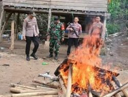 Ajak TNI,Polsek Tellu Limpoe Patroli Rutin dan Cek Tempat Judi Sabung Ayam