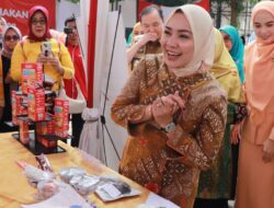 Lomba kreasi Lahap Makan untuk Anak-Anak, Penggerak PKK Provinsi Lampung Siapkan Generasi Cerdas