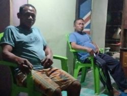 Gunakan Alat Sederhana,Dan Lamangga Tangkap Ratusan Babi Liar