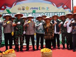 Pangdam XXI/Radin Inten Bersama Polda Lampung Panen Raya Serentak