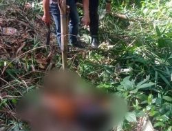 Temukan Mayat Tanpa Identitas,Polsek Gedong Tataan Lakukan Lidik