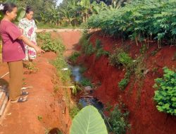 Warga Halangan Ratu Pesawaran Keluhkan Galian Tanah di Perbatasan Pemukiman dan Kebun Sawit