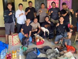Kabur Tinggalkan Barang Bukti,Pelaku Sabung Ayam di Sinjai Selatan Digerebeg Polisi