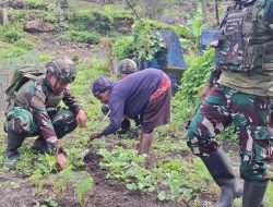 Satgas Yonif 521/DY Bantu Masyarakat untuk Ketahanan Pangan di Distrik Kurima