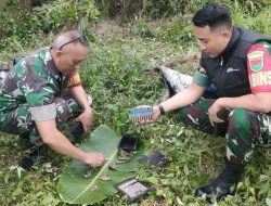 Sertu Romi Anggota Koramil 410-01/Panjang dan Warga Amankan 61 Butir Amunisi Peluru