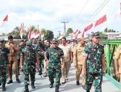 Pangdam I/BB Tinjau Jembatan Super Compact 200 Tipe 1-1 yang Dibangun Yonzipur 11/DW dan PU