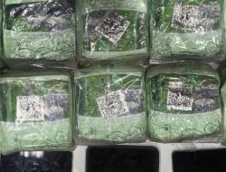 10,63 Kg Sabu Asal Aceh Tujuan Pulau Jawa Berhasil Digagalkan Polda Lampung