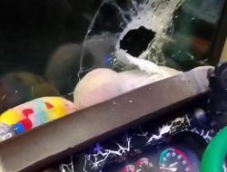 Bus Madinah Trans Dilempar Batu Orang Tak Dikenal,Sopir Lapor ke Polisi