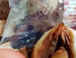 Program MBG di Way Rilau Tanggamus Dapat Sorotan Tajam dari Masyarakat