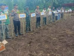 Polres Sinjai Laksanakan Tanam Jagung Serentak Kuartal I
