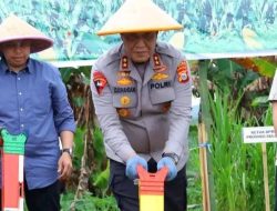 Dukung Program Swasembada Pangan Nasional,Kapolda Sulsel Hadiri Penanaman Jagung Serentak