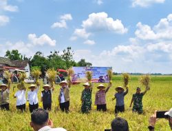 Panen Raya di Jatim,Dirut BULOG Optimistis Dukung Capaian Target 4 Juta Ton