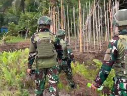 Satgas Yonif 521/DY Bagikan Bibit Kepada Warga di Distrik Benawa