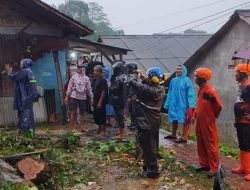 Pohon Tumbang Timpa Rumah Warga di Wilayah Bogor,Tak Ada Korban Jiwa