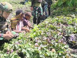 Satgas Yonif 521/DY Bantu Warga Berkebun di Kurima