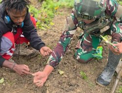 Satgas Pamtas Yonif 521/DY Bagikan Bibit Pertanian kepada Warga di Distrik Eragayam
