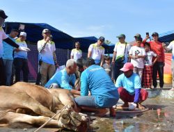 PPN Kilang Balongan Sebar Hewan Kurban Perayaan Idul Adha ke Masyarakat Umum