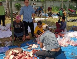 Ponpes Al-Munawar Desa Rantau Lamsel Potong Hewan Sapi Kurban