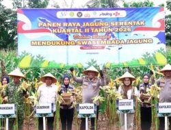 Panen Raya Jagung Serentak Kuartal II Tahun 2026, Kapolda Sulsel Dorong Ketahanan Pangan Nasional di Pangkep
