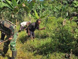 Satgas Yonif 521/DY Bantu Warga Berkebun di Kampung Benawa