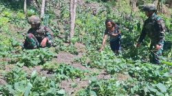 Satgas Yonif 521/DY Dukung Kemandirian Masyarakat Distrik Kurima