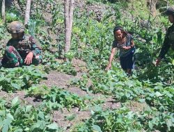 Satgas Yonif 521/DY Dukung Kemandirian Masyarakat Distrik Kurima