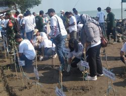 Peringati Hari Mangrove Sedunia, ALPL Indramayu Tanam 11.000 Pohon