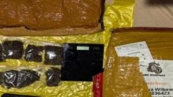 Gagalkan Peredaran Narkotika,Polda Lampung Amankan 6 Kg Ganja