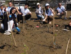 World Mangrove Day, PPN RU Balongan Tanam Belasan Ribu Pohon Mangrove