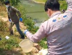 Dugaan Pencemaran Penyebab Ikan Mati,DLH Ambil Sampel Air Kali Way Ratai