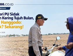 Menteri PU Sidak Sawah Kering Tujuh Bulan, Dody Hanggodo: Besok? Sekarang!
