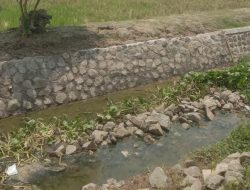 Proyek PSDA Cilacap di Kali Grigil Diduga Asal Jadi, Tuwai Sorotan Warga