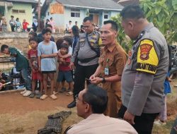 Polisi,Damkar dan Warga Kotabumi Ilir Evakuasi Buaya