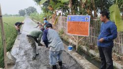 Petani Desa Mekargading Bahagia Sebab 295 meter Jalan Usaha Tani Dicor Beton